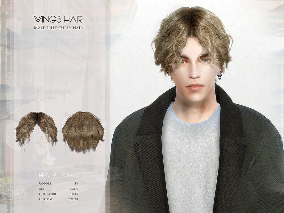 Male split curly hair – TO1223 | The Sims Book