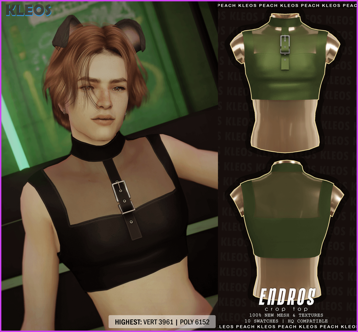Endros Crop Top