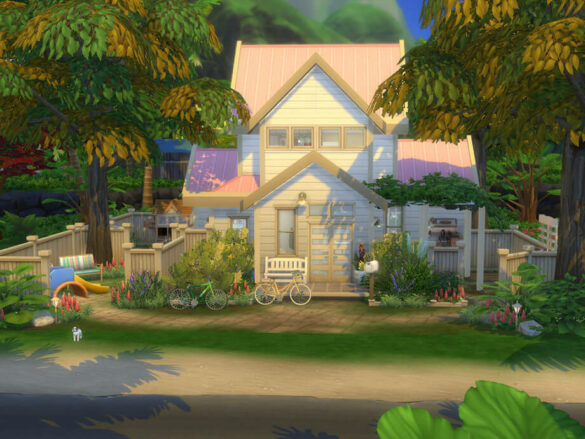 The pink roof no cc 20x20