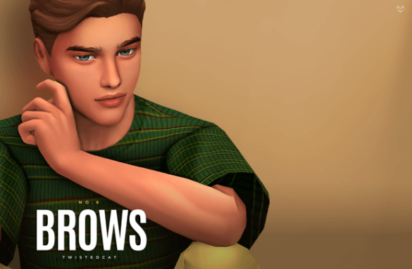 Eyebrows Set NO6 by TwistedCat