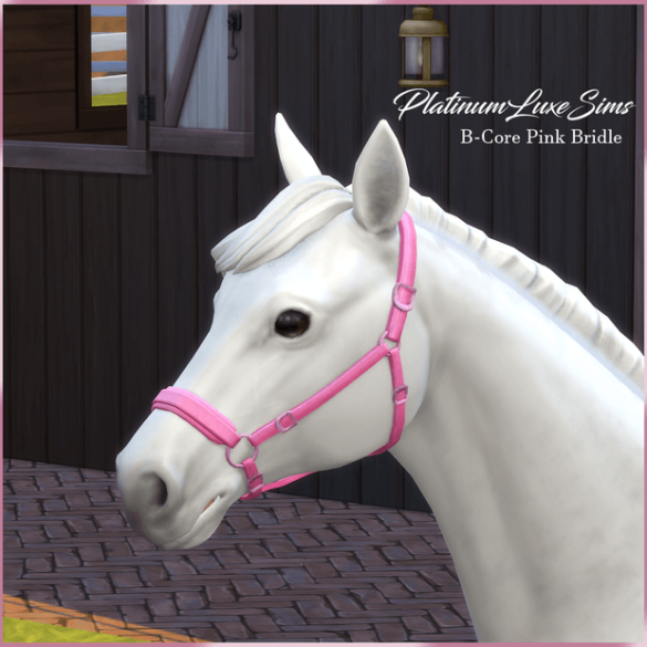 B-Core Pink Bridle & Saddle