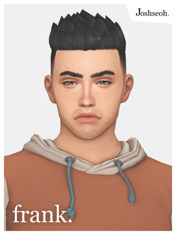 Frank Hair (Hair Commission)