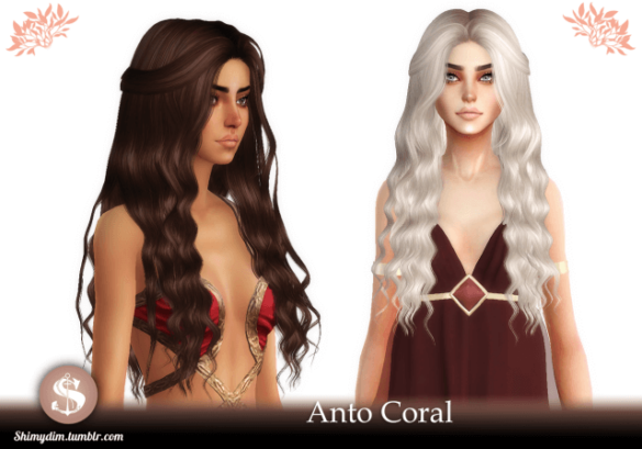 [TS4] - ANTO CORAL