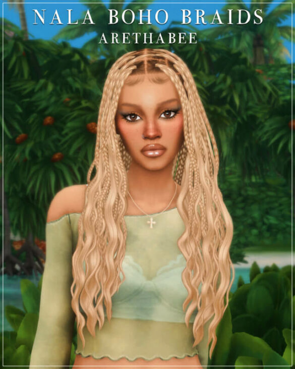 nala boho braids